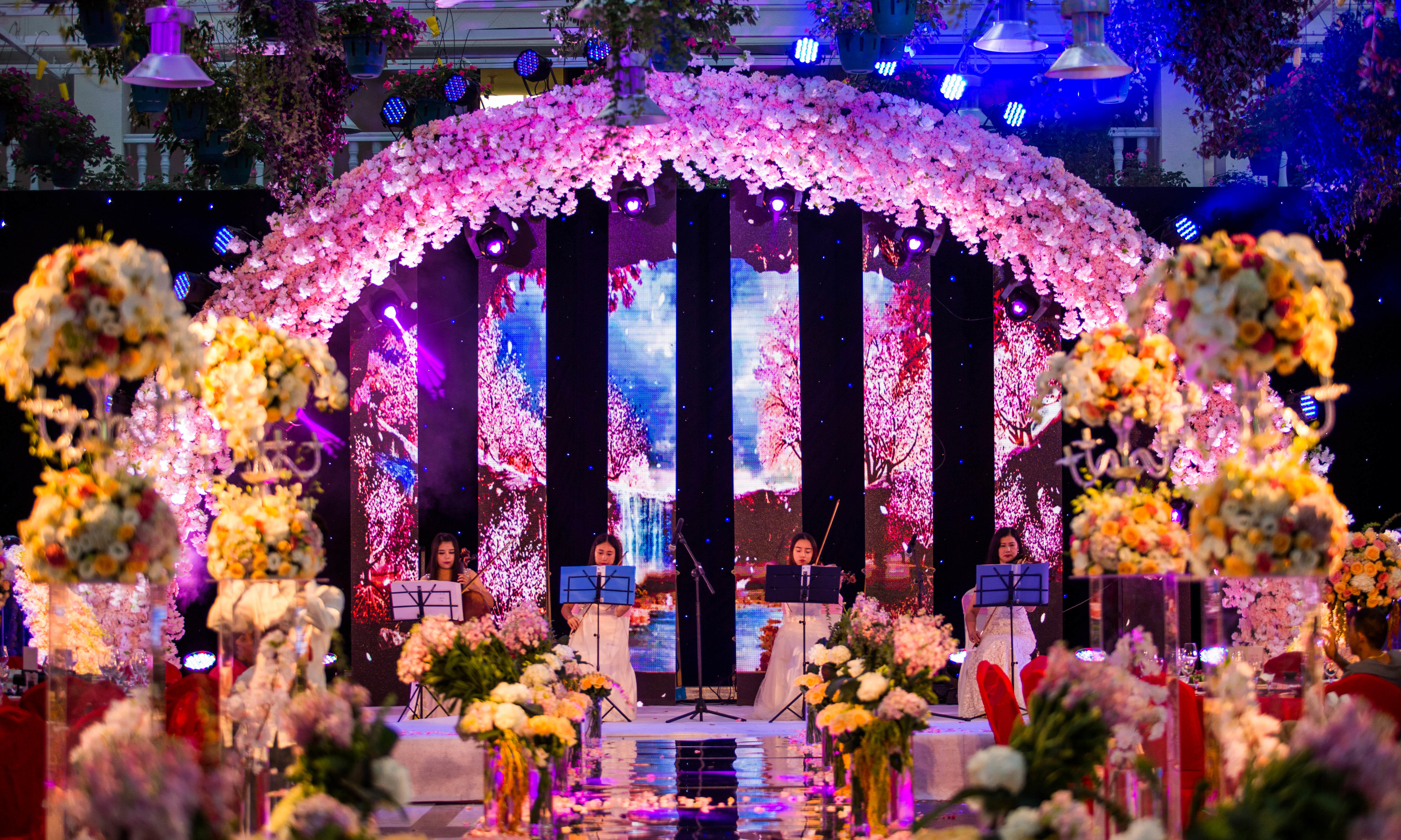 热烈、纯洁、幸福。粉色樱花主题婚礼！