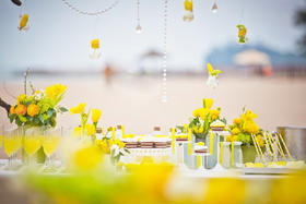 海边婚礼--黄色清新风