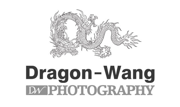 【龙影纪】Dragon-Wang